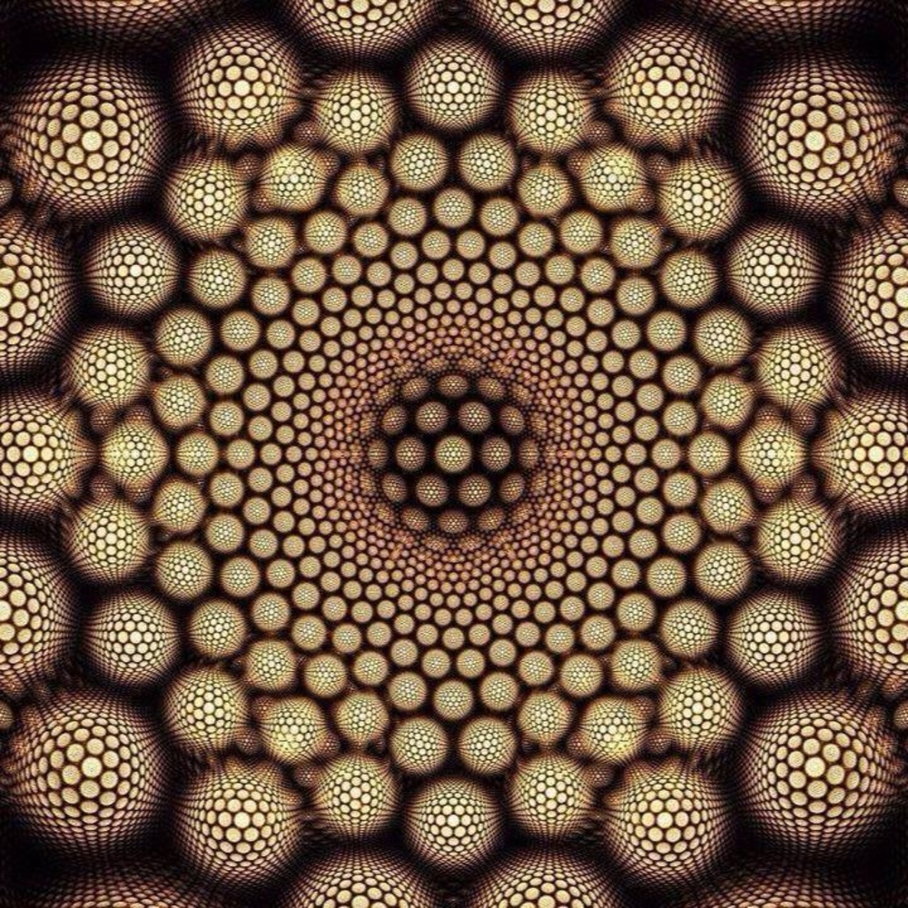 Meet your Posher, Sus